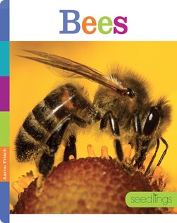 Bees