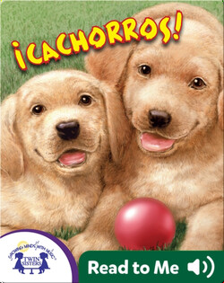 ¡Cachorros!