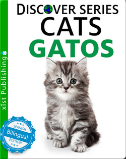Cats / Gatos