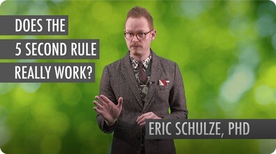 Ask Smithsonian: Does the Five-Second Rule Really Work?