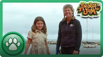 Exploring the Ocean with Tierney!