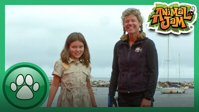 Exploring the Ocean with Tierney!