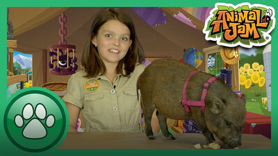 8 Amazing Pig Facts!