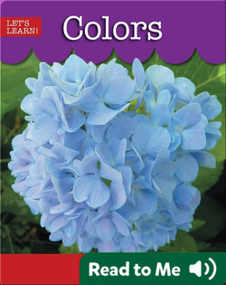Colors