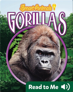 Gorillas