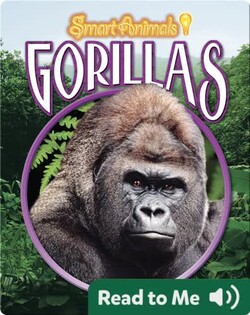 Gorillas