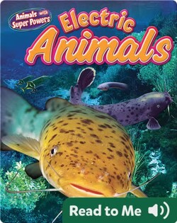 Electric Animals