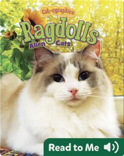 Ragdolls: Alien Cats