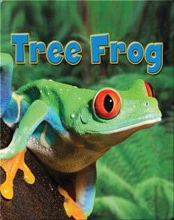 Tree Frog