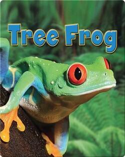 Tree Frog