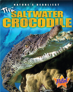 The Saltwater Crocodile