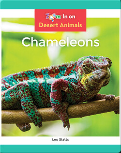 Chameleons