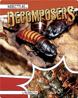 Insects as Decomposers