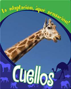 Cuellos