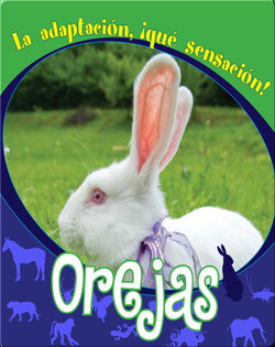 Orejas