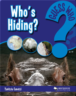 Who's Hiding?