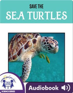 Save the Sea Turtles