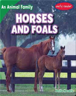 Horses and Foals