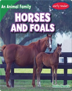 Horses and Foals