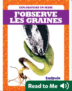 J’observe les graines