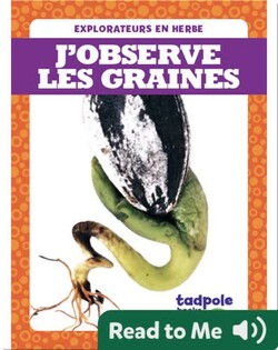 J’observe les graines
