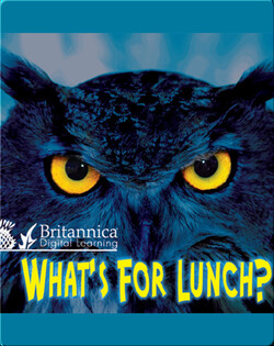 What's for Lunch?
