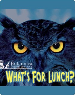 What's for Lunch?