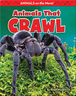 Animals That Crawl