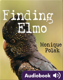 Finding Elmo