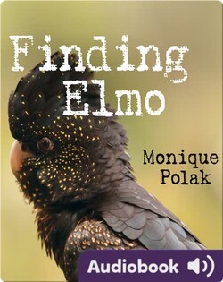 Finding Elmo