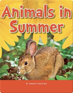 Animals in Summer