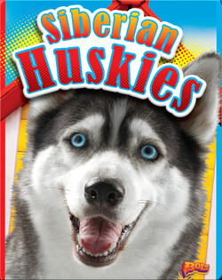 Siberian Huskies