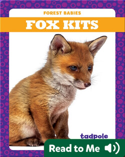 Fox Kits