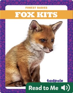 Fox Kits