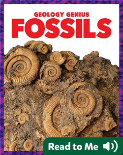 Fossils