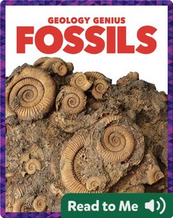 Fossils