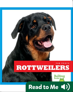 Rottweilers