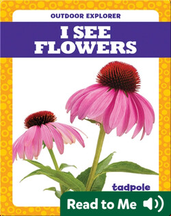I See Flowers