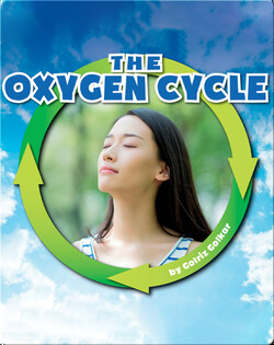 The Oxygen Cycle
