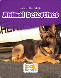 Animal Detectives