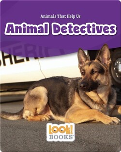 Animal Detectives