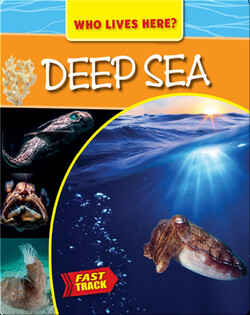 Deep Sea