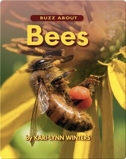 Buzz About Bees