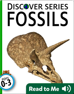 Fossils