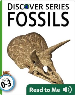 Fossils