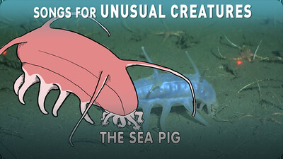 Songs for Unusual Creatures: The Sea Pig