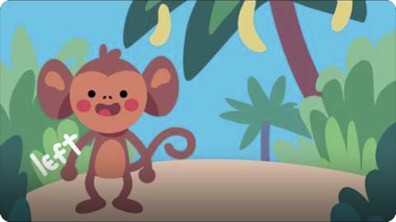 Funky Monkey