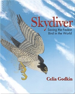 Skydiver