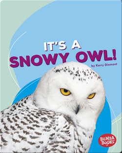 It's a Snowy Owl!
