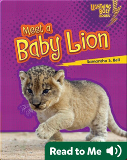 Meet a Baby Lion